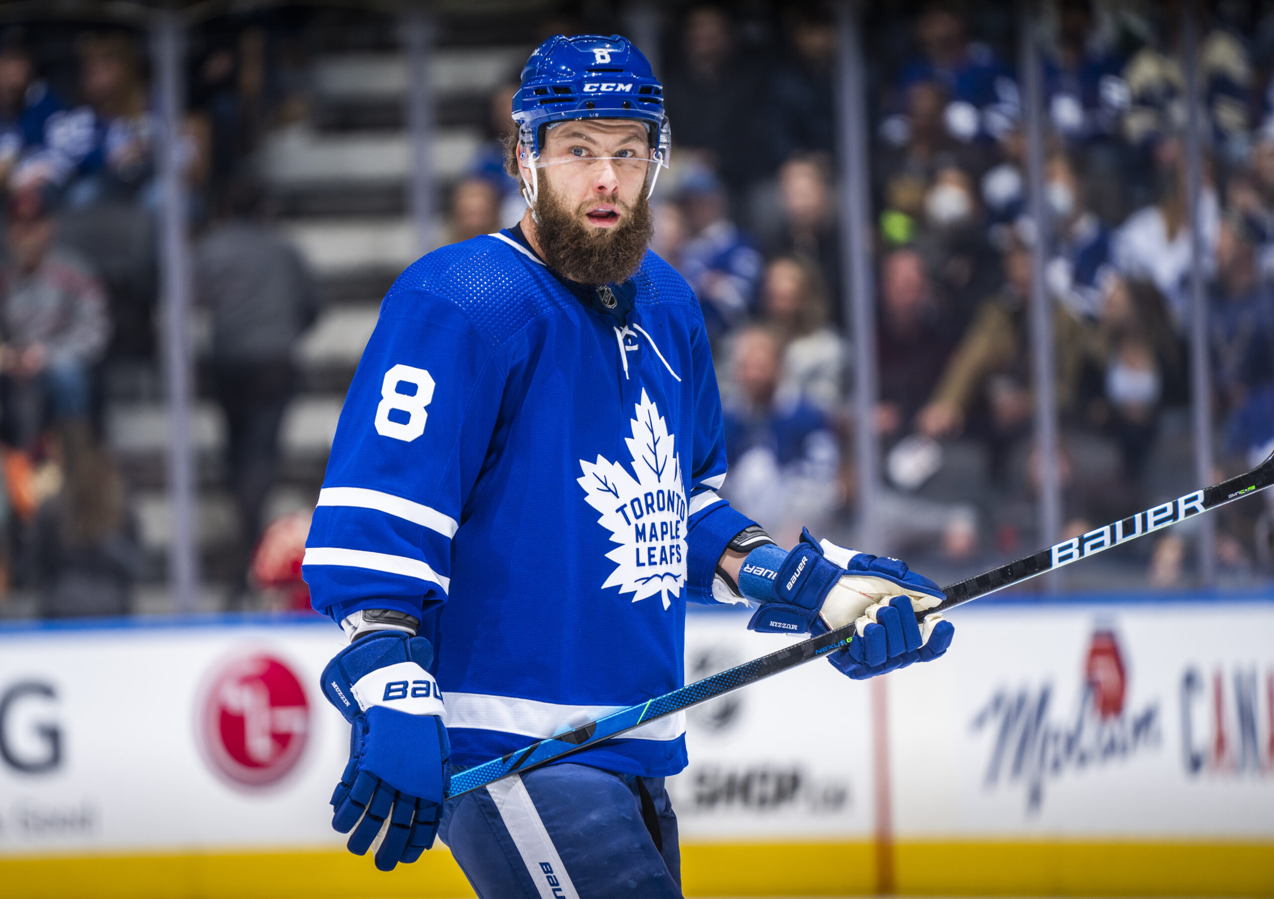 TML Domain - Maple Leafs Provide Update on Defenceman Jake MuzzinTML Domain