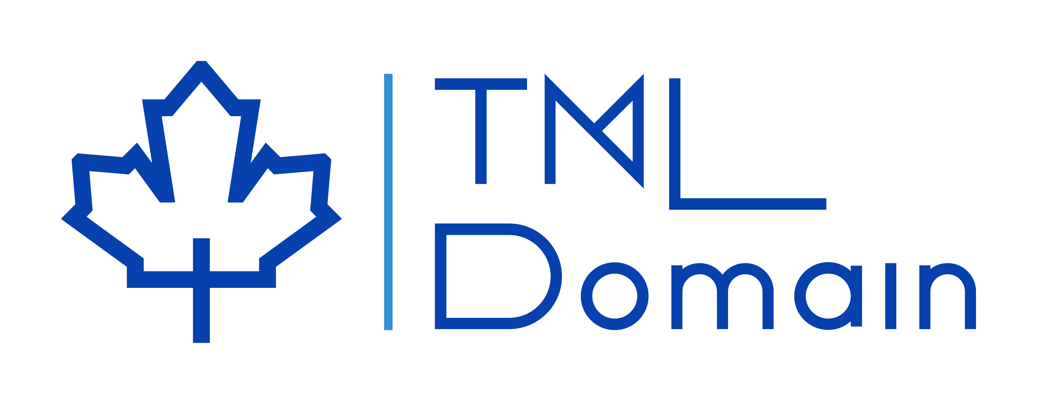 TML Domain